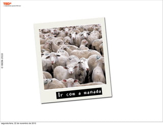 ©IXION2010
Ir com a manada
segunda-feira, 22 de novembro de 2010
 