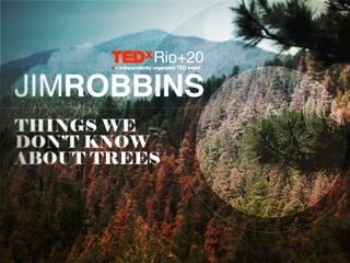 TEDxRio+20 - Jim Robbins - Things we don't know about trees