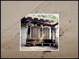 TEDxRio - Vera Cordeiro