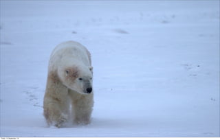 Friday, 14 September, 12
 