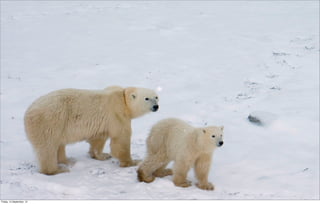 Friday, 14 September, 12
 