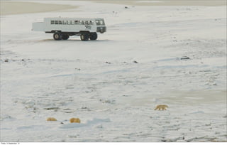 Friday, 14 September, 12
 