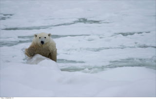 Friday, 14 September, 12
 