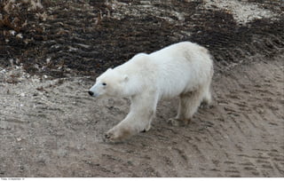 Friday, 14 September, 12
 