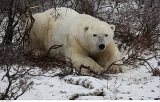 Friday, 14 September, 12
 