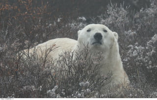 Friday, 14 September, 12
 