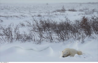 Friday, 14 September, 12
 