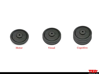 Motor   Visual   Cognitivo
 