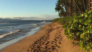 TEDxTaipei 2017: 社會企業