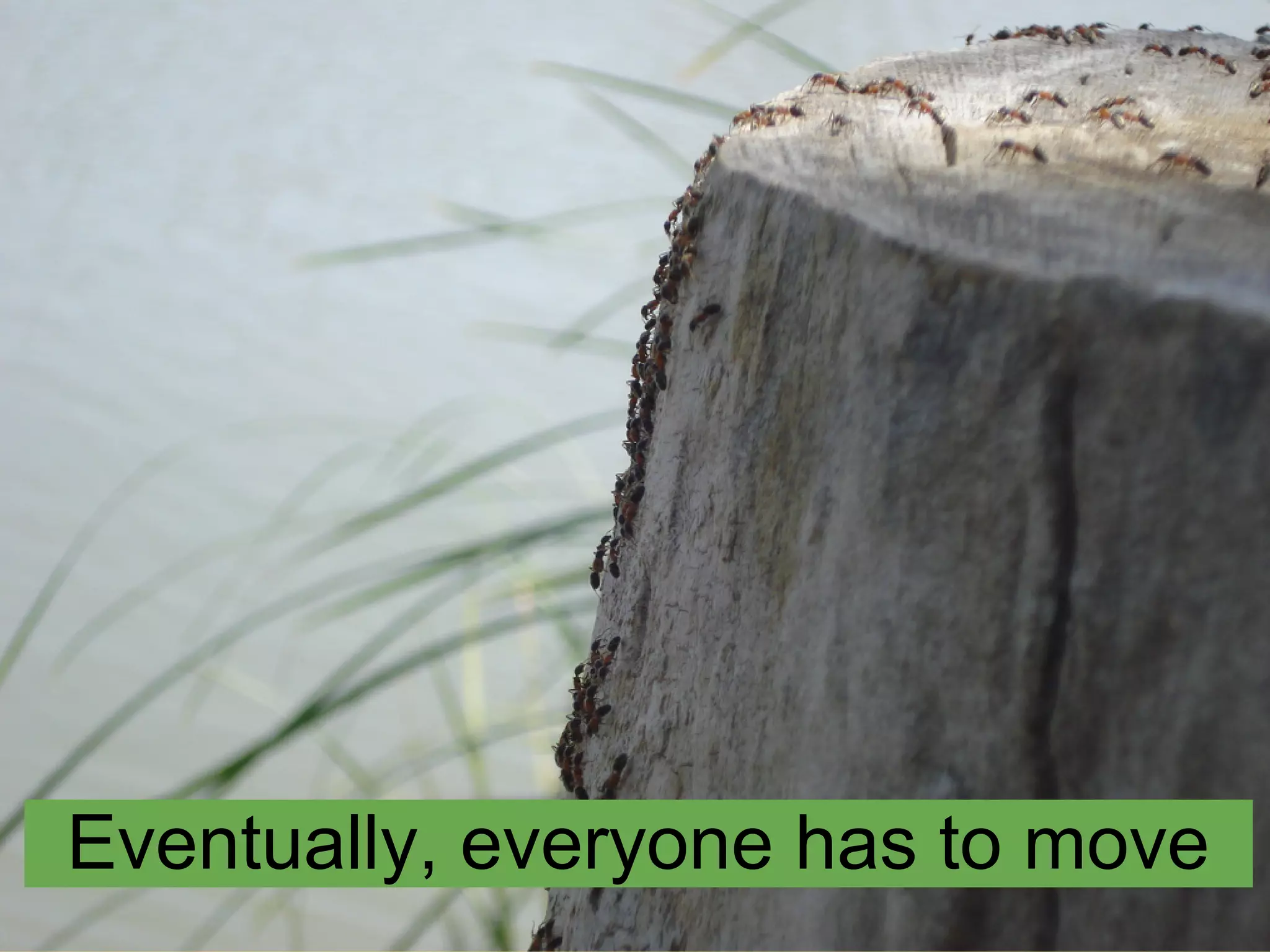 Eventually, everyone has to move
 