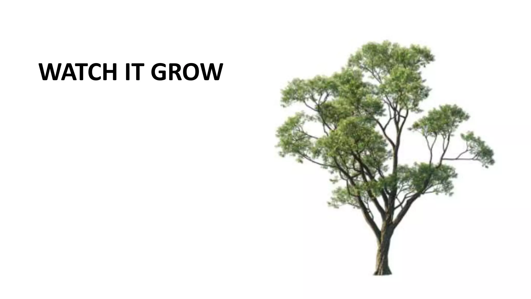 WATCH IT GROW