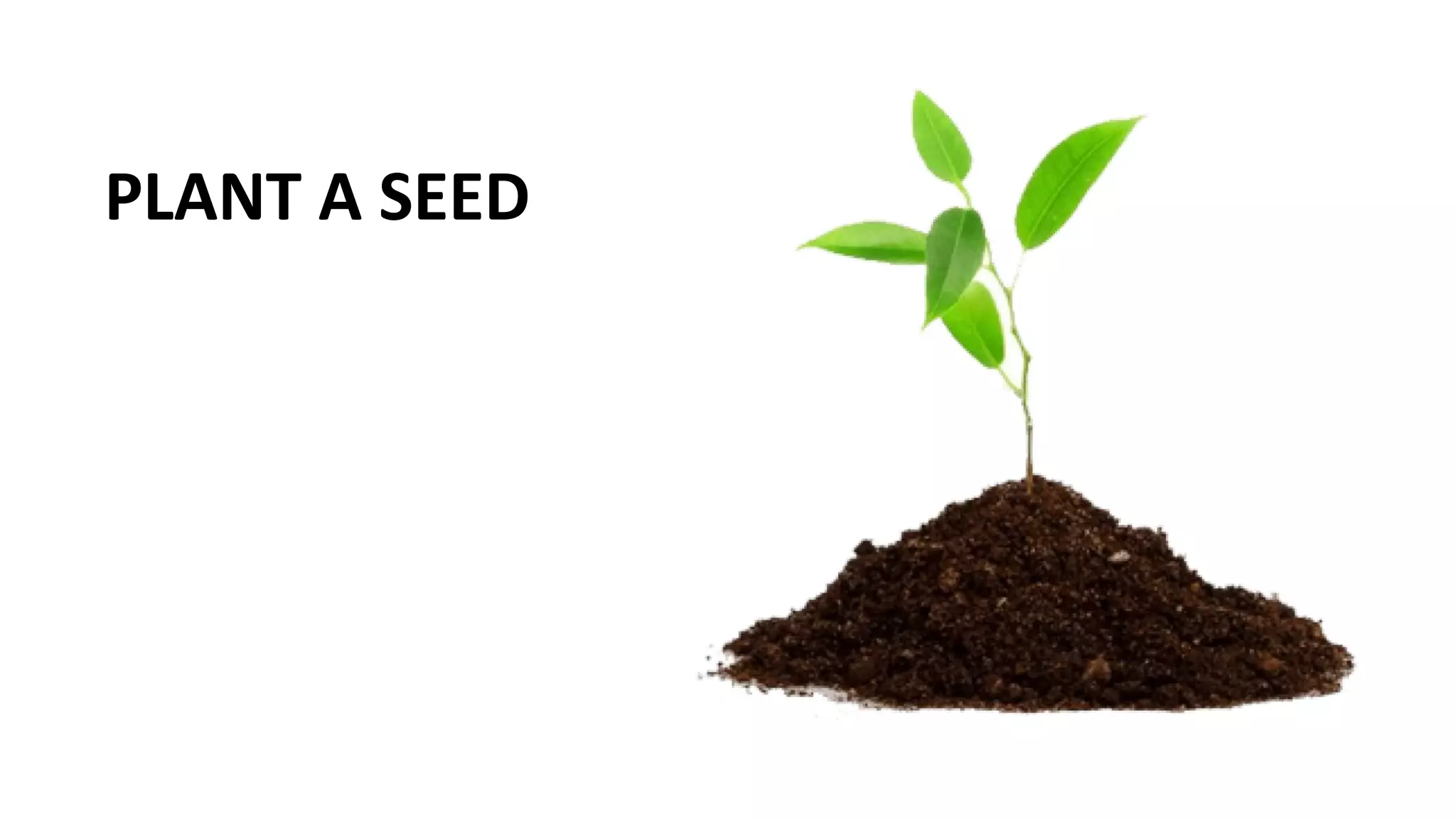 PLANT A SEED