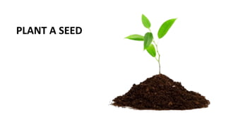 PLANT A SEED
 