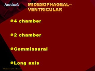 4 chamber 2 chamber Commissural Long axis 