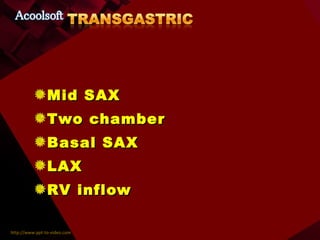 Mid SAX Two chamber Basal SAX LAX RV inflow 