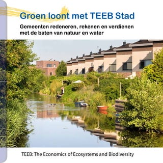Groen loont met TEEB Stad
    Gemeenten redeneren, rekenen en verdienen
    met de baten van natuur en water




2                                                        1




    TEEB: The Economics of Ecosystems and Biodiversity
 