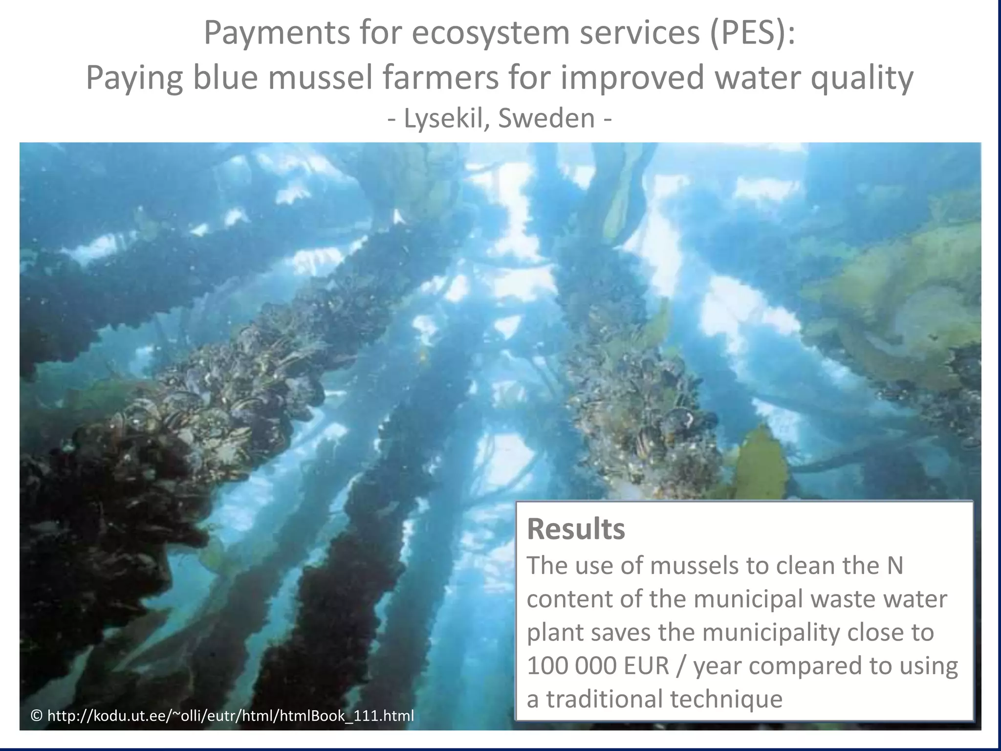 cc

Payments for ecosystem services (PES):
Paying blue mussel farmers for improved water quality
- Lysekil, Sweden -

Results

© http://kodu.ut.ee/~olli/eutr/html/htmlBook_111.html

The use of mussels to clean the N
content of the municipal waste water
plant saves the municipality close to
100 000 EUR / year compared to using
a traditional technique

 
