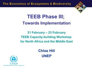 TEEB Phase III;
 Towards Implementation

     21 February – 23 February
TEEB Capacity-building Workshop
for North Africa and the Middle East


            Chloe Hill
             UNEP
 