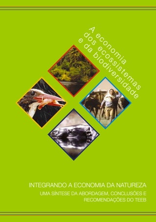 d
os
ecossistem
as
e
da
biodiversidade
A
econom
ia
Integrando a Economia da Natureza
Uma síntese da abordagem, conclusões e
recomendações do TEEB
 