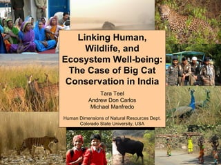 Linking Human,
Wildlife, and
Ecosystem Well-being:
The Case of Big Cat
Conservation in India
Tara Teel
Andrew Don Carlos
Michael Manfredo
Human Dimensions of Natural Resources Dept.
Colorado State University, USA

 