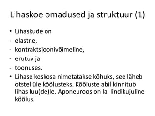 Lihaskoe omadused ja struktuur (1)
•   Lihaskude on
-   elastne,
-   kontraktsioonivõimeline,
-   erutuv ja
-   toonuses.
•   Lihase keskosa nimetatakse kõhuks, see läheb
    otstel üle kõõlusteks. Kõõluste abil kinnitub
    lihas luu(de)le. Aponeuroos on lai lindikujuline
    kõõlus.
 