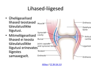 Lihased-liigesed
• Üheliigeselised
  lihased teostavad
  täieulatuslikke
  liigutusi.
• Mitmeliigeselised
  lihased ei teosta
  täieulatuslikke
  liigutusi erinevates
  liigestes
  samaaegselt.

                         Allikas / CC BY-SA 3.0
 
