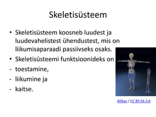 Skeletisüsteem
• Skeletisüsteem koosneb luudest ja
  luudevahelistest ühendustest, mis on
  liikumisaparaadi passiivseks osaks.
• Skeletisüsteemi funktsioonideks on
- toestamine,
- liikumine ja
- kaitse.
                                     Allikas / CC BY-SA 3.0
 