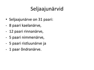 Seljaajunärvid
•   Seljaajunärve on 31 paari:
-   8 paari kaelanärve,
-   12 paari rinnanärve,
-   5 paari nimmenärve,
-   5 paari ristluunärve ja
-   1 paar õndranärve.
 