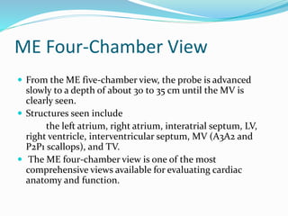ME Four-Chamber View
 From the ME five-chamber view, the probe is advanced
slowly to a depth of about 30 to 35 cm until the MV is
clearly seen.
 Structures seen include
the left atrium, right atrium, interatrial septum, LV,
right ventricle, interventricular septum, MV (A3A2 and
P2P1 scallops), and TV.
 The ME four-chamber view is one of the most
comprehensive views available for evaluating cardiac
anatomy and function.
 