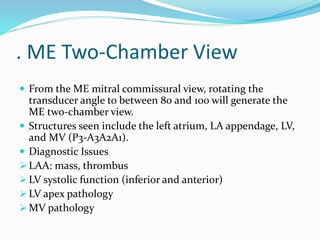 . ME Two-Chamber View
 From the ME mitral commissural view, rotating the
transducer angle to between 80 and 100 will generate the
ME two-chamber view.
 Structures seen include the left atrium, LA appendage, LV,
and MV (P3-A3A2A1).
 Diagnostic Issues
 LAA: mass, thrombus
 LV systolic function (inferior and anterior)
 LV apex pathology
 MV pathology
 