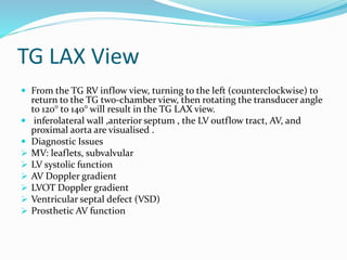 TG LAX View
 From the TG RV inflow view, turning to the left (counterclockwise) to
return to the TG two-chamber view, then rotating the transducer angle
to 120° to 140° will result in the TG LAX view.
 inferolateral wall ,anterior septum , the LV outflow tract, AV, and
proximal aorta are visualised .
 Diagnostic Issues
 MV: leaflets, subvalvular
 LV systolic function
 AV Doppler gradient
 LVOT Doppler gradient
 Ventricular septal defect (VSD)
 Prosthetic AV function
 