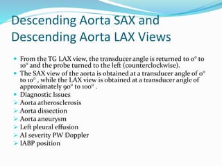 Descending Aorta SAX and
Descending Aorta LAX Views
 From the TG LAX view, the transducer angle is returned to 0° to
10° and the probe turned to the left (counterclockwise).
 The SAX view of the aorta is obtained at a transducer angle of 0°
to 10° , while the LAX view is obtained at a transducer angle of
approximately 90° to 100° .
 Diagnostic Issues
 Aorta atherosclerosis
 Aorta dissection
 Aorta aneurysm
 Left pleural effusion
 AI severity PW Doppler
 IABP position
 