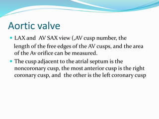 Aortic valve
 LAX and AV SAX view (,AV cusp number, the
length of the free edges of the AV cusps, and the area
of the Av orifice can be measured.
 The cusp adjacent to the atrial septum is the
noncoronary cusp, the most anterior cusp is the right
coronary cusp, and the other is the left coronary cusp
 