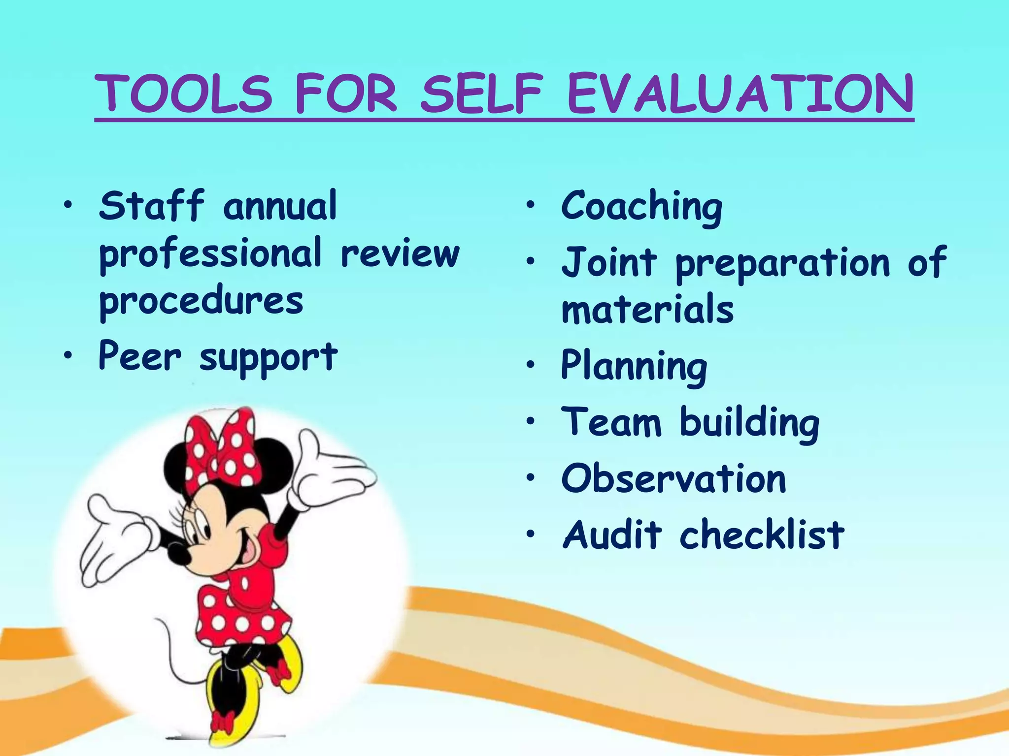 TOOLS FOR SELF EVALUATION
• Staff annual
professional review
procedures
• Peer support
• Coaching
• Joint preparation of
materials
• Planning
• Team building
• Observation
• Audit checklist
 