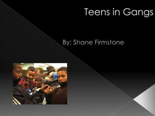 Teens in Gangs By: Shane Firmstone 