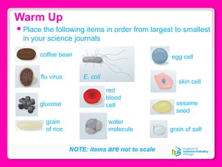 Warm Up
Place the following items in order from largest to smallest
in your science journals
coffee bean
E. coli
egg cell
flu virus
glucose
red
blood
cell
grain
of rice grain of salt
water
molecule
skin cell
sesame
seed
NOTE: items are not to scale
 