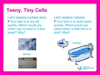 Teeny, Tiny Cells
Let’s explore surface area:
Your task is to dry off
quickly. Which would you
rather use: a towel or a bed
sheet? Why?
Let’s explore volume:
Your task is to drain water
quickly. Which would you
rather drain: a bath tub or a
sink? Why?
versus
versus
 