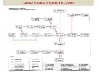 Scheme to obtain 20 Standard TEE views
 