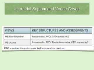 Interatrial Septum and Venae Cavae
 