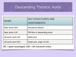 Descending Thoracic Aorta
 