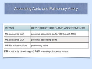 Ascending Aorta and Pulmonary Artery
 