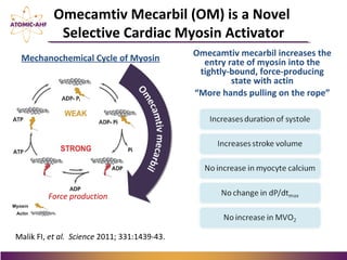 Omecamtiv Mecarbil (OM) is a Novel
Selective Cardiac Myosin Activator
Malik FI, et al. Science 2011; 331:1439-43.
Mechanochemical Cycle of Myosin
Force production
Omecamtiv mecarbil increases the
entry rate of myosin into the
tightly-bound, force-producing
state with actin
“More hands pulling on the rope”
 