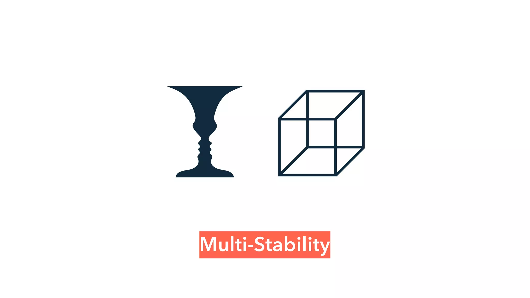 Multi-Stability
 