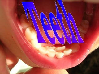 Teeth 