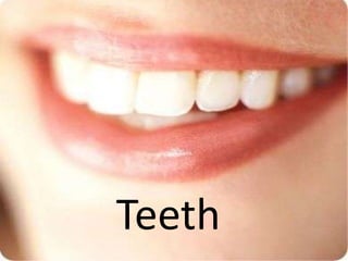 Teeth
 