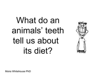 What do an animals ’ teeth tell us about  its diet? Moira Whitehouse PhD 