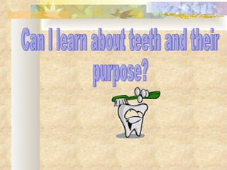 Can I learn about teeth and their  purpose? 