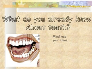 Mind map your ideas…