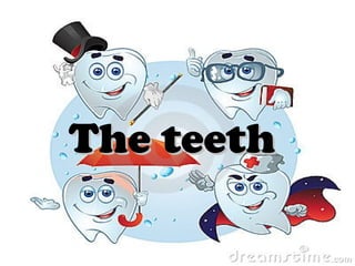 The teeth

 