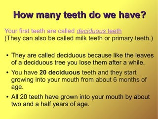 How many teeth do we have?
Your first teeth are called deciduous teeth
(They can also be called milk teeth or primary teeth.)
●

●

●

They are called deciduous because like the leaves
of a deciduous tree you lose them after a while.
You have 20 deciduous teeth and they start
growing into your mouth from about 6 months of
age.
All 20 teeth have grown into your mouth by about
two and a half years of age.

 